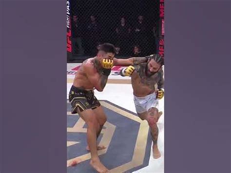 Uppercut 2025 Streaming And 𝚆𝚊𝚝𝚌𝚑 Options
